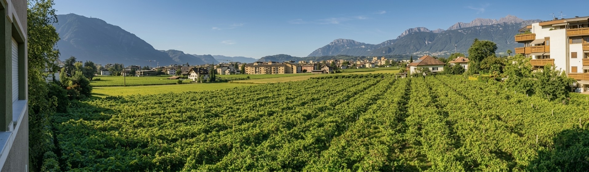 Bolzano Gries: Luminoso quadrilocale con magnifica vista aperta sui vigneti