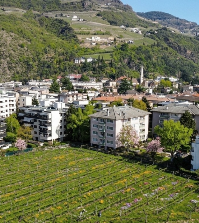 Bolzano Gries: Luminoso quadrilocale con magnifica vista aperta sui vigneti