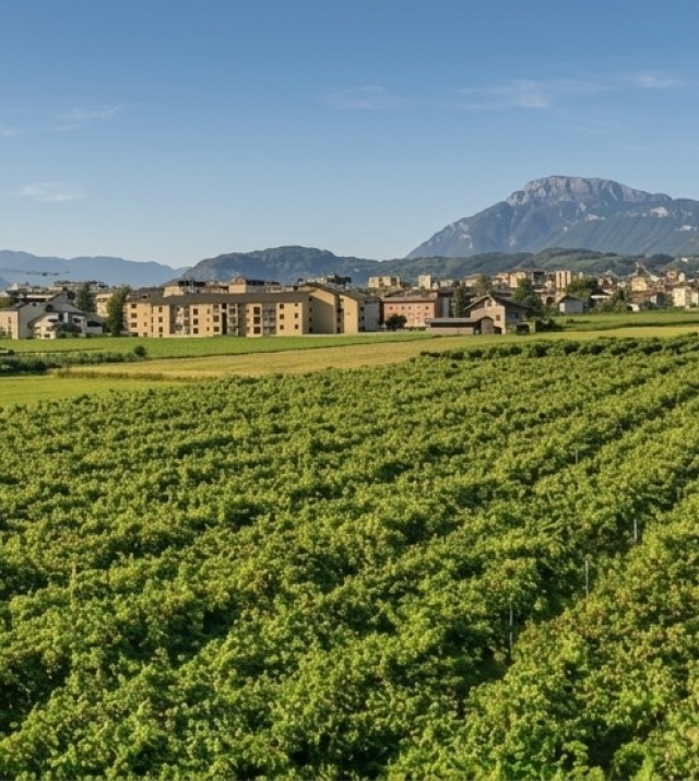 Bolzano Gries: Luminoso quadrilocale con magnifica vista aperta sui vigneti