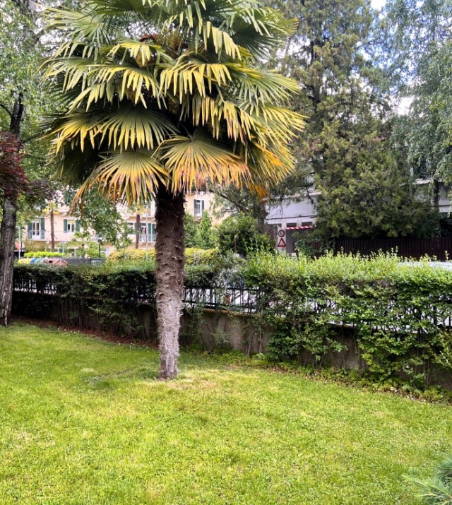 Großzügige und helle Vierzimmerwohnung mit Panoramaterrasse in der Guntschnastraße – Bozen Gries