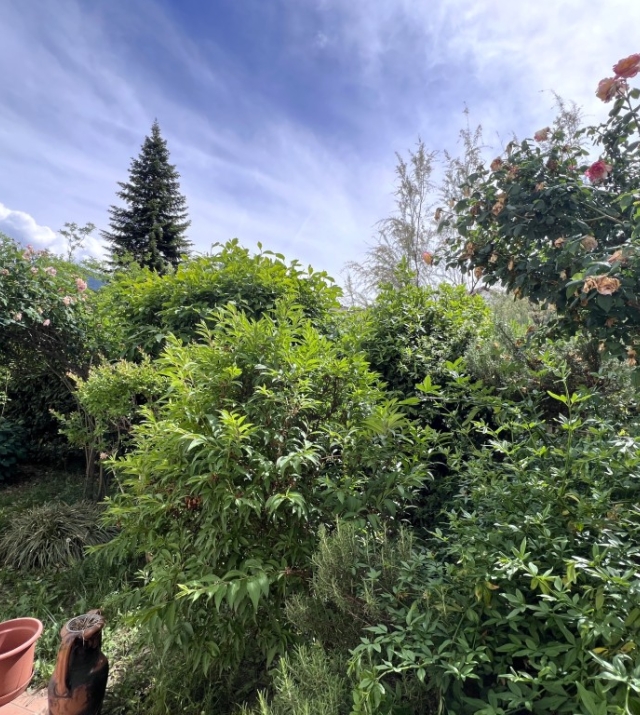 OTTIMO INVESTIMENTO: NUDA PROPRIETÀ – Quadrilocale con giardino a Bolzano Gries 
