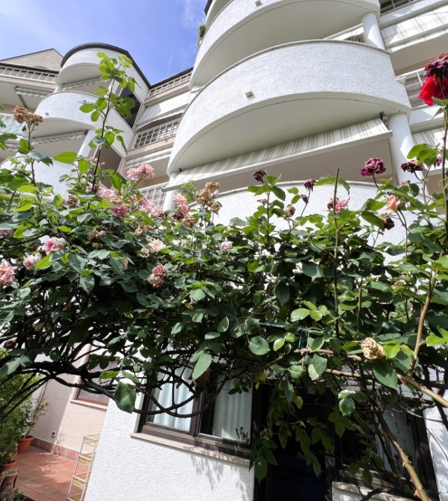 OTTIMO INVESTIMENTO: NUDA PROPRIETÀ – Quadrilocale con giardino a Bolzano Gries 