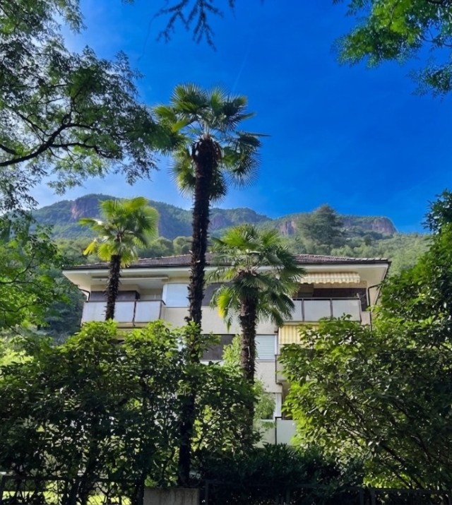 Bolzano Via Segantini – Affascinante appartamento con balcone vivibile esposto a ovest