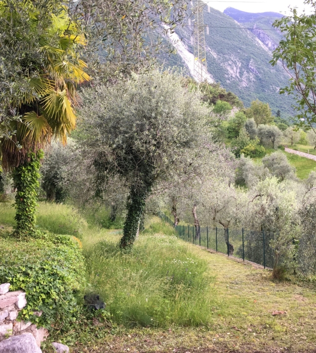 Elegantes Landhaus mit atemberaubenden Seeblick – Malcesine